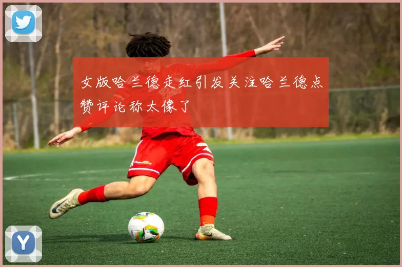 女版哈兰德走红引发关注哈兰德点赞评论称太像了